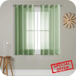MRTREES Voile Curtains 54 Drop 2 Panels Faux Linen Eyelet Short Sheer Curtain Panel for Bedroom Living Room Patio Door 55x54 Drop 140cm x 137cm Sage Gree