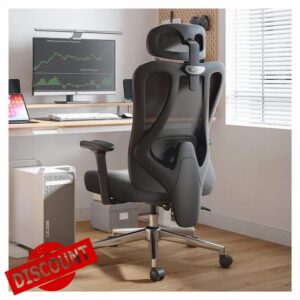 Hbada Ergonomic Office Chair Adjustable Backrest Height