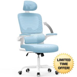 aspaluro Office Chair