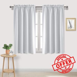DWCN Rod Pocket Blackout Curtains for Bedroom Thermal Insulated Curtains Energy Saving Window Treatment Curtain Drapes for Living Room
