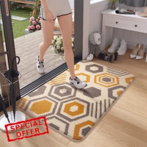 Color G Door Mats Indoor 50 X 80 Cm