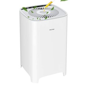 Ultra Quiet Desktop Portable Air Purifier