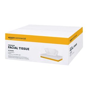AmazonCommercial 417627 2-Ply Facial Tissues