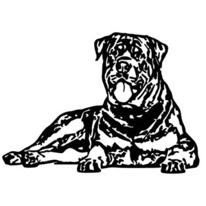 Hosoncovy Metal Rottweiler Dog Wall Decor,Outdoor Personalized Art Decor,Metal Wall Decor,Metal Wall Art for Indoor Outdoor Animal Artwork Rustic Home Office Cabin Farmhouse Decoratio