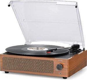 Vinyl Record Player with 2 Built-in Speakers