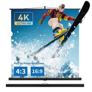 Portable Projector Screen and Stand