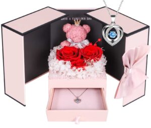 Addwel Cute Preserved Red Roses Moss Bear Gift Box with 925 Sterling Silver Necklace for Mom Wife Girlfriend on Christmas
