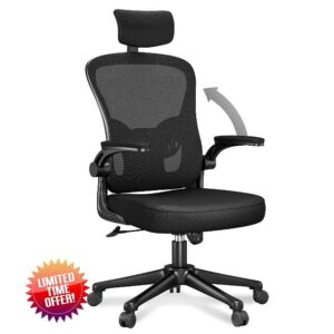 aspaluro Office Desk Chair with Flip-Up Armrest High Back Ergonomic Computer Chair with Adjustable Headrest and Lumbar Support Executive Swivel Chair for Home and Office