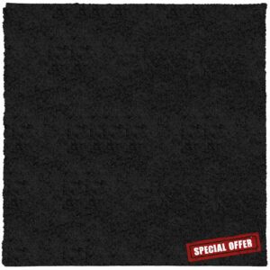 idaXL Shaggy Rug-240x240cm