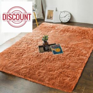 MOONLIGHT20015 Rugs Living Room Large 160x230 cm – Fluffy Shaggy Rust Area Rugs for Bedroom Non-Slip – Modern Super Soft Thick Pile Plush Carpet Non Shedding Easy To Clean Rug