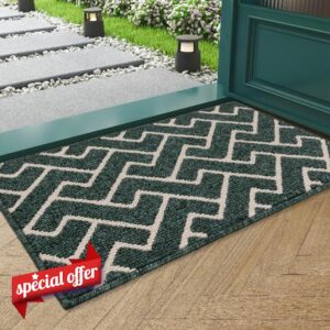 Biscpro Indoor Door Mats