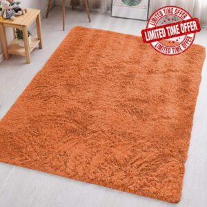 Aspire Homeware Rugs Living Room - Rust Area Rugs 160x230cm for Bedroom Anti Slip - Modern Super Soft Thick Pile Fluffy Shaggy Rug Non Shedding