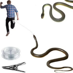 Snake Prank with String Clip