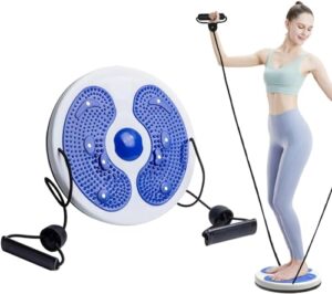 Waist Twisting Disc