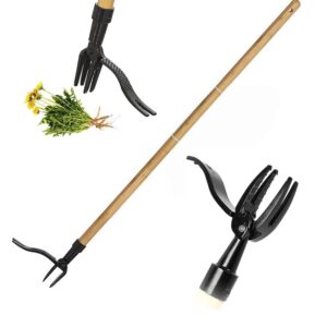 Standing Weed Puller