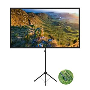 Projector Screen with Stand