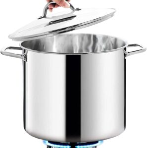 HOMICHEF Large Nickel Free Stainless Steel Stock Pot with Lid (30 cm