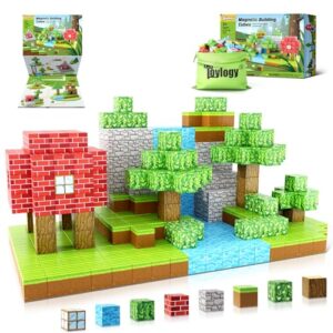 Magnetic Blocks-Build Mine Magnet World Set