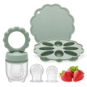 Baby Fruit Food Feeder & Mini Popsicle Ice Tray Set