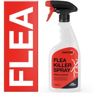 PESTEQ Flea Spray For The Home | Max Strength Household Flea Spray | Kills Flea Adults