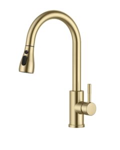 FORIOUS Kitchen Sink Taps Mixer with Pull Out Spray