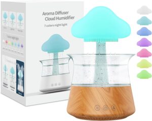 New Raindrop Humidifier
