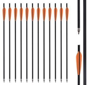 Fiita 18''/20''/22'' Carbon Hunting Arrows Archery Target Practice Arrows with 4" Feathers Spine 500 for Compound Bow and Recurve Bow with Removable Tips (Pack of 12)