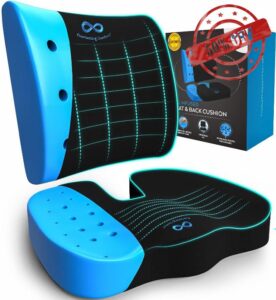 Everlasting Comfort Lumbar Support and Office Chair Cushion Combo - Gel Memory Foam Chair Cushions for Desk