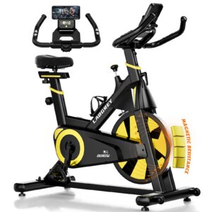Labgrey Exercise Bike Magnetic Resistance Indoor Cycling Bike Stationary Cycle Bike with Heart Rate Sensor & Comfortable Seat Cushion