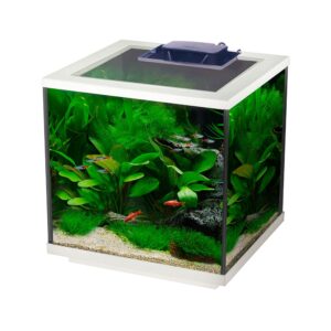 Interpet Aqua Cube Glass Fish Tank Aquarium with Integrated LED Lighting and Easy Care Filter