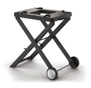 Ninja Woodfire Folding Grill Stand