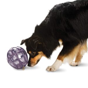 Kibble Nibble Treat Dispenser Ball For Dogs