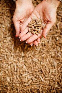 Wood Pellets Cat Litter 120 XXL Large Pack Highly Absorbent Made From%100 Pine Wood (4 x 30L Quad Pack)