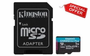 Kingston Canvas Go! Plus microSD memory card Class 10