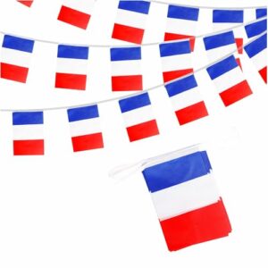 French Flags Bunting France Bunting 10m 30 Flags 14x21cm