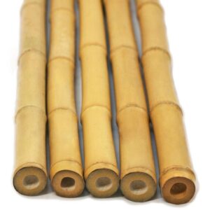 FlickBuyz Bamboo Canes - Plant Supports for Outdoor Plants – All Lengths 2