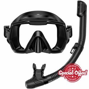 Snorkel Set Adults Snorkeling Gear Anti-Leak and Anti-Fog Tempered Glass Lens Panoramic View Swim Mask Dry Top Snorkel Kit for Snorkeling Scuba Diving Swimming Travel with Carry Bag