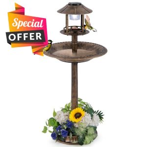 COSTWAY Bird Feeder Bath
