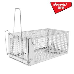 Humane Rat Traps For Outdoors