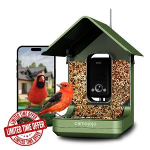 Bird Feeder with Camera of 32MP Photo & 4K Video
