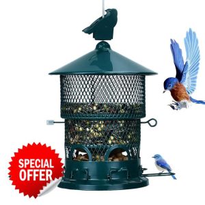 Bird Seed Feeder