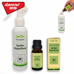 Makes 50+ Bottles of Spider Repellent Spray. Tried & Tested Concentrated Blend of 12 Essential Oils That Deter Spiders. Natural