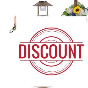 Maxmass Bird Bath Feeding Station