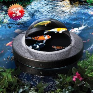 Coopers of Stortford Floating Fish Dome for Watching Pond Fish | Garden outdoors | 30cm