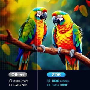 Supports Switch and PS5 without Delay