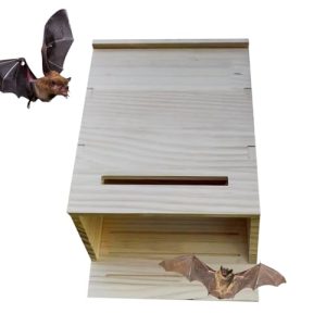 Artificial Bat Roost