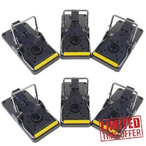 ROSHIELD 6 x Mouse Trap