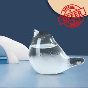 Storm Glass Weather Forecast Bottle - Snow Globes Barometer