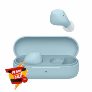 Sony WF-C510 Truly Wireless Earbuds – Small