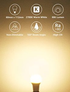 60W Equivalent